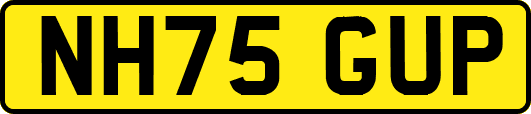 NH75GUP