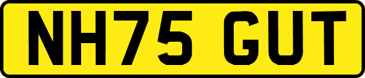 NH75GUT