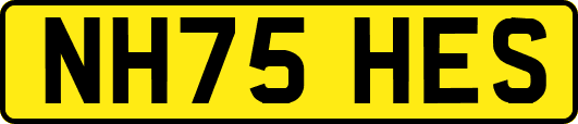 NH75HES