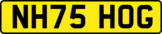 NH75HOG