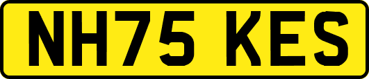 NH75KES