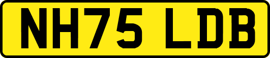 NH75LDB