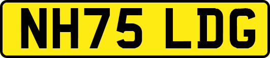 NH75LDG