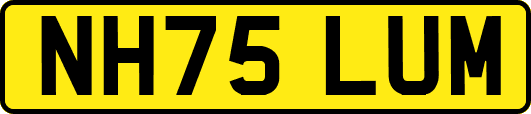 NH75LUM