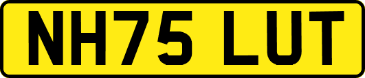 NH75LUT