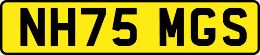 NH75MGS