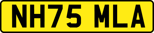 NH75MLA
