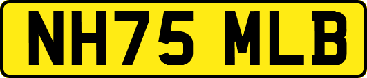 NH75MLB