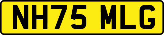 NH75MLG