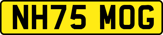 NH75MOG