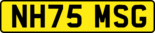 NH75MSG