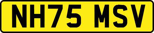 NH75MSV