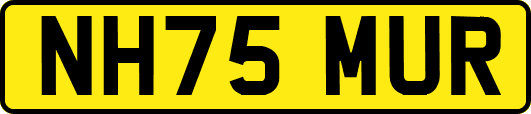 NH75MUR