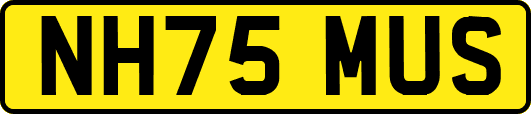NH75MUS