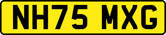 NH75MXG