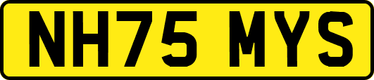 NH75MYS