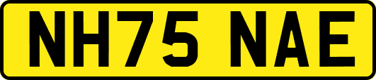 NH75NAE