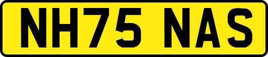 NH75NAS