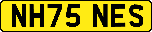 NH75NES