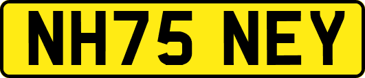 NH75NEY