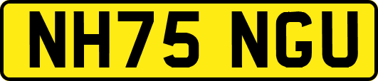 NH75NGU