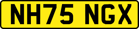 NH75NGX