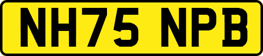 NH75NPB
