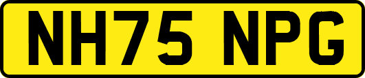 NH75NPG