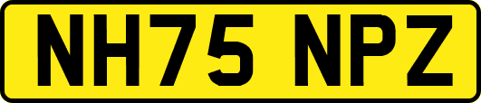 NH75NPZ