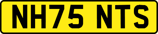 NH75NTS