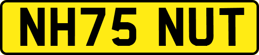 NH75NUT