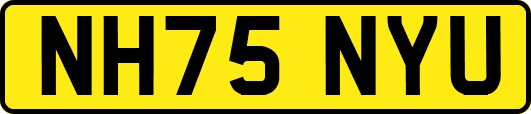 NH75NYU