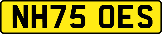 NH75OES