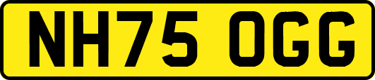 NH75OGG