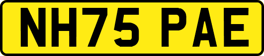 NH75PAE