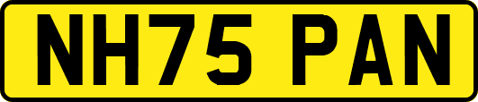NH75PAN