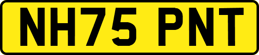 NH75PNT