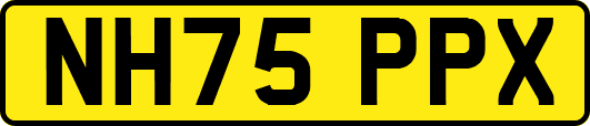 NH75PPX