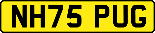 NH75PUG