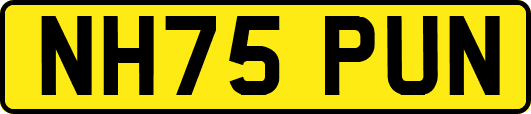 NH75PUN