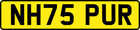 NH75PUR