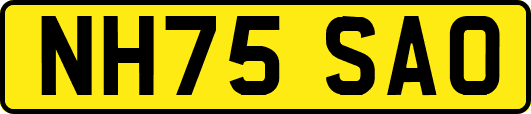 NH75SAO