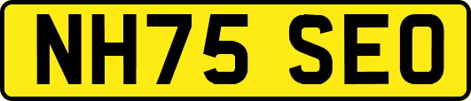 NH75SEO