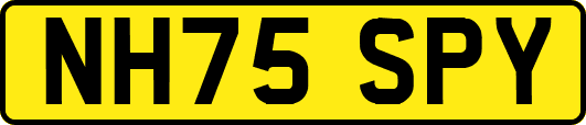 NH75SPY