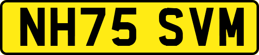 NH75SVM