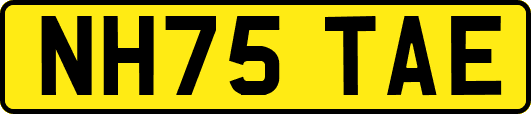 NH75TAE