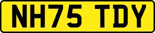 NH75TDY