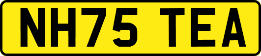 NH75TEA