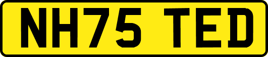 NH75TED