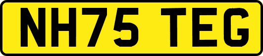 NH75TEG